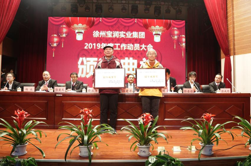 乐动网页版2019年度工作动员大会---集团乐动网页版领导为先进单位和先进个人代表颁奖